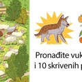 Da li možete da uočite vuka i 10 skrivenih predmeta na slici? Oborite rekord od 20 sekundi