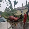 Žena poginula u nevremenu kod Sombora Srušeno stablo smrskalo njen automobil oglasio se i ministar policije (foto)