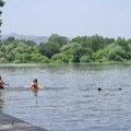 Rečni rakovi ponovo se pojavili u Moravi