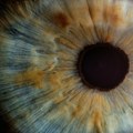 Veštačka inteligencija na osnovu slike oka može da prepozna i analizira bolest rožnjače