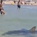 (Video) Užas na mediteranu: Morski biolozi nikad nisu zabeležili ovakav napad: Ne zna se iz kog je ugla snimak gori!