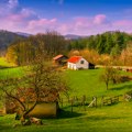 Investicija u vikendice i kuće za odmor: Nova "zlatna koka" tržišta nekretnina
