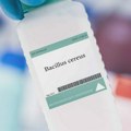 Šta je Bacillus cereus pronađena u povučenoj hrani za bebe - do čega dovodi i koji su simptomi?