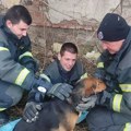 Leskovački vastrogasci spasili psa koji je upao u šaht