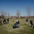 Projekat „Zasadi drvo“ premašio 1.200.000 posađenih sadnica u Srbiji