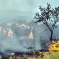 Visoke temperature i suša povećavaju rizik od požara u Srbiji: Pojedini krajevi zemlje su u velikoj opasnosti