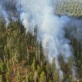 Požar u okolini Trebinja: Vatra zahvatila travu i nisko rastinje