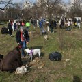 FOTO: Stanari novobeogradskih blokova posadili drveće na mestu gde je planirano gradilište