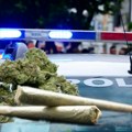 Velika zaplena Novosađanin i Zrenjaniniac uhvaćeni sa 1,6 kila marihuane