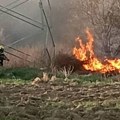 Ljudi kofama gasili požar da im ne bi izgorele kuće: Drama u Kaluđerici, očevici nisu mogli da dišu od dima