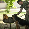 U niškoj kasarni vodiči i psi uče kako se pronalaze eksplozivna sredstva