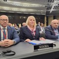 Delegacija Srbije na zasedanju PS NATO ukazala na ugroženost Srba na KiM