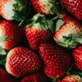 Alarm iz Belgije: Pesticid formetanat pronađen u srpskim jagodama