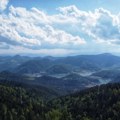 Som, plotica, skobalj, klen, šaran, bodorka, mrena, grgeč i uklija na pecanje u NP Tara. Najviše se upeca lovom iz čamca, a…