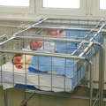 Zašto preskupe mere države ne povećavaju broj beba u Srbiji