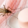 Мирис сапуна који најбоље одбија комарце: Спас за људе који привлаче досадне крвопије