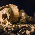 Novi korak u istraživanju Ćele-kule: CT skeniranje lobanje za koju se veruje da pripada Stevanu Sinđeliću