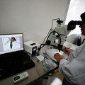 WHO upozorava na opasnost širenja denga groznice