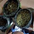 Pali na delu Prodali marihuanu pa uhapšeni
