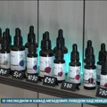Danijela Mladenović jedina na svetu cedi ulje iz jezgra koštice drenjine u komercijalne svrhe
