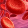Kako izgledaju krvna zrnca proizvedena u laboratoriji - naučnici opisali ovaj složen proces