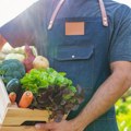 Stižu stipendije za decu farmera i reforma podsticaja: Usvojena strategija poljoprivrede do 2034, evo šta se sve menja