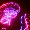 Revolucija u proučavanju mozga: Kako je otkriće "dugmeta" za neurone donelo naučnicima Nobelovu nagradu