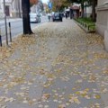 Boje moga grada