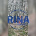 Retko lepa slika iz ivanjičkog kraja: Lovci tokom potrage za divljom svinjom snimili igru srna u šumi (VIDEO)