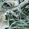 Jutros je zabeležen prvi minus! U ovom delu Srbije temperatura se spustila nekoliko stepeni ispod nule
