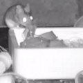 Misteriozna spremačica – miš mu svaku noć sređivao radni sto u šupi