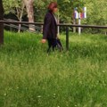 Kose po planu, a trava do kolena: Dok se građani žale da javne površine nisu uredne, nadležni poriču