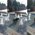 Narednih dana visoke temperature i jačanje toplotnog talasa