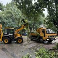 Brzom reakcijom „Gradskog zelenila“ sanirane posledice nevremena na više od 40 lokacija