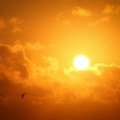 ALARM - Vanredni događaj - temperature do 43 °S, građanima stužu upozorenja SMS-om