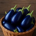 Minimalna ulaganja daju maksimalne prinose: Plavi patlidžan iz Suvog Dola osvaja markete, evo koja je tajna uzgoja Saše Tomića…