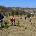 Udruženje akcijaša i volontera Grada Užica i ove godine obeležav Dan ORA- Akcija pošumljavanja u subotu 18. aprila