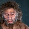 Neandertalci koristili kamene bušilice za lečenje karijesa pre 59.000 godina: Zub iz Sibira mogao bi da promeni istoriju…