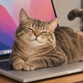 MacBook trackpad prede kao mačka kada ga „pomazite“ i dodirnete