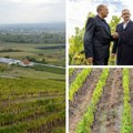 Stižu novi podsticaji Ministar Glamočić: Novi arteski bunari za bolju vinsku industriju i poljoprivrednu proizvodnju