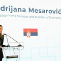 Mesarović: Srbija ima stabilne javne finansije i rekordan priliv investicija