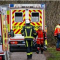Tragedija u Nemačkoj: Drvo palo i usmrtilo majku, bebu i devojčicu