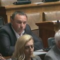 Šulkić (Novi DSS): Priča o izborima paravan za nekontrolisano zaduživanje države