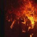 Veliki požar kod Herceg Novog: Borba vatrom trajala celu noć, bilo ugroženo oko 50 kuća (VIDEO)