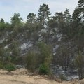 Dekan Šumarskog fakulteta: U Deliblatskoj peščari treba početi sa uklanjanjem nagorelih stabala