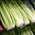 Jedna od najzdravijih namirnica može i te kako da bude opasna! Nutricionista poručio: Ako redovno kupujete celer, obratite…