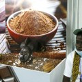 Gana podigla cenu otkupa kakaa od domaćih farmera za više od 63 odsto