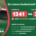 Subotički đaci organizovali humanitarnu akciju za Lea (7): Ovako su obeležili državni praznik i pomogli dečaku