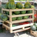 Leto bez lubenice i dinje, kao selo bez crkve: Koliko košta kilogram na beogradskim pijacama? U Subotici izuvaju