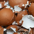 Bacate ih godinama u smeće, a pravo su blago Ljuske od jaja čiste kupatilo, hrane biljke, i čine omiljeni napitak ukusnijim…